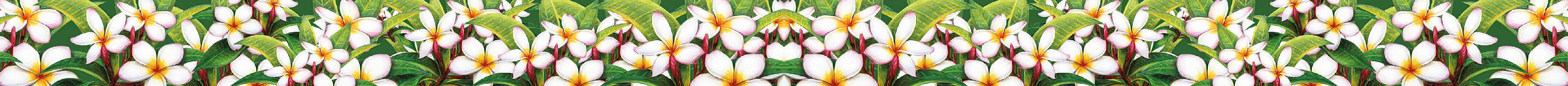 Illustrazione botanica della collezione Argan e Dattero